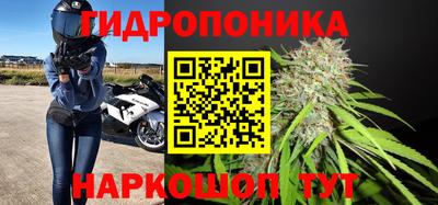 apvp Будённовск