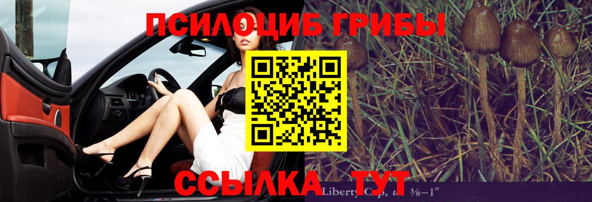 Псилоцибиновые грибы GOLDEN TEACHER  Вход с VPN  Черняховск 